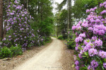 Natuurbegraafplaats Christinalust